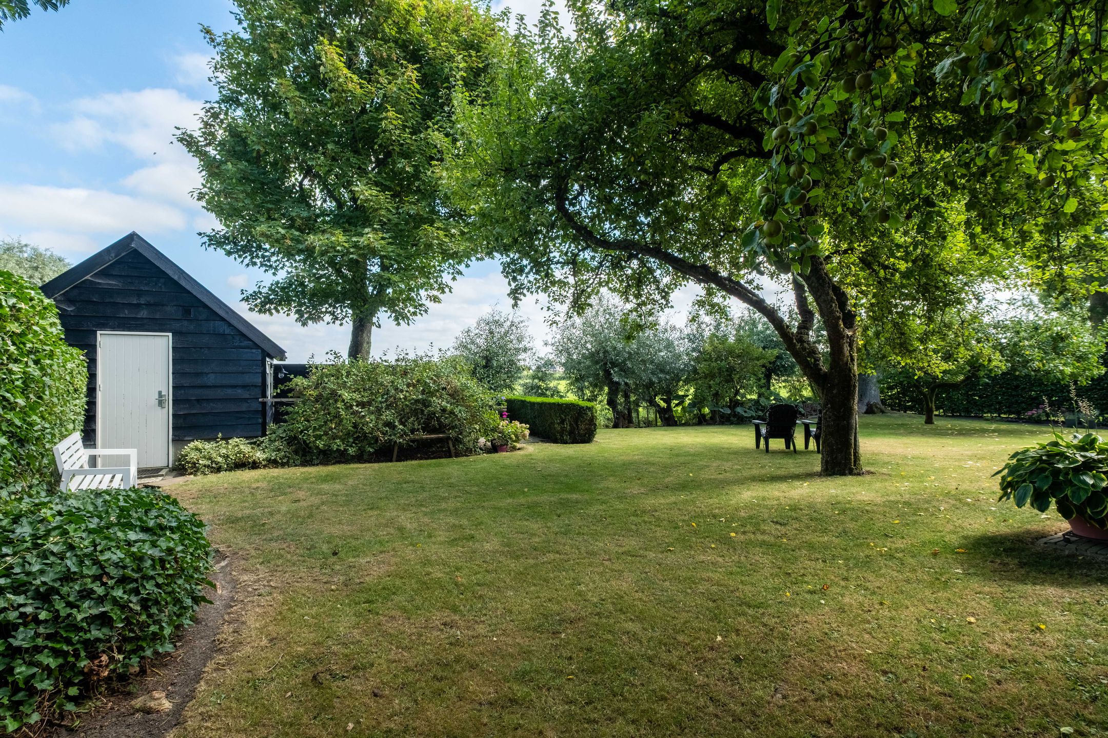 Foto 81 van De Buorren 10