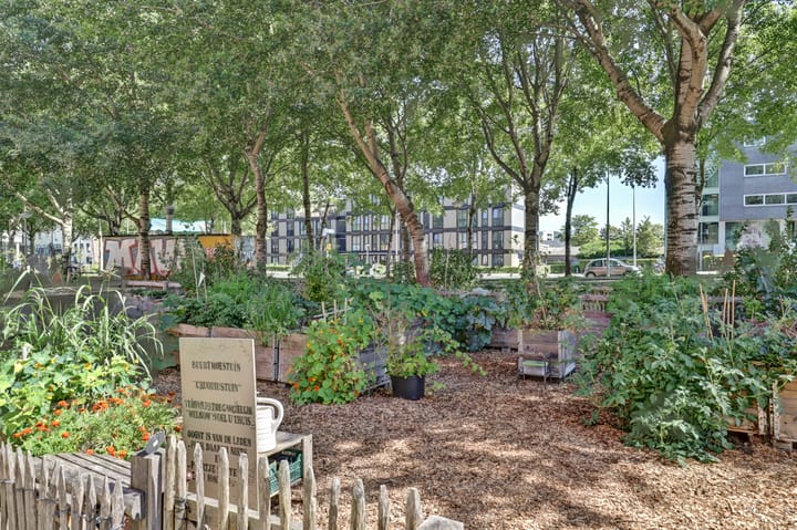 Foto 34 van J.M. van der Meylaan 86