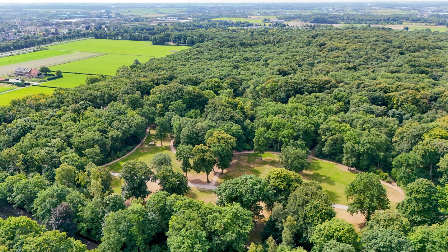 Foto 49 van Veldhorststraat 12