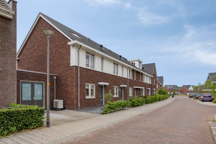 Foto 9 van Rozenbottel 20