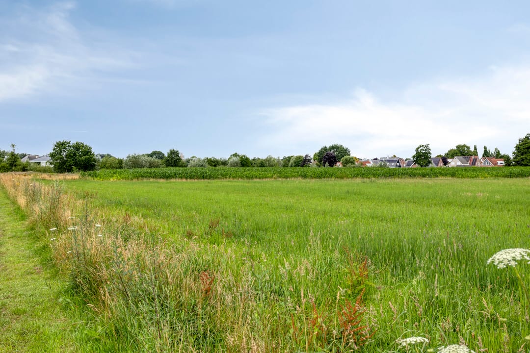 Foto 37 van Rozenbottel 20