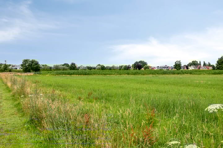 Foto 37 van Rozenbottel 20