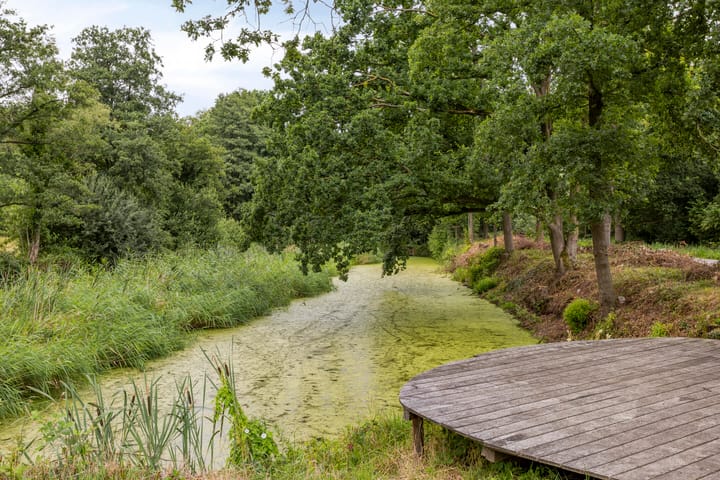 Foto 39 van Rozenbottel 20