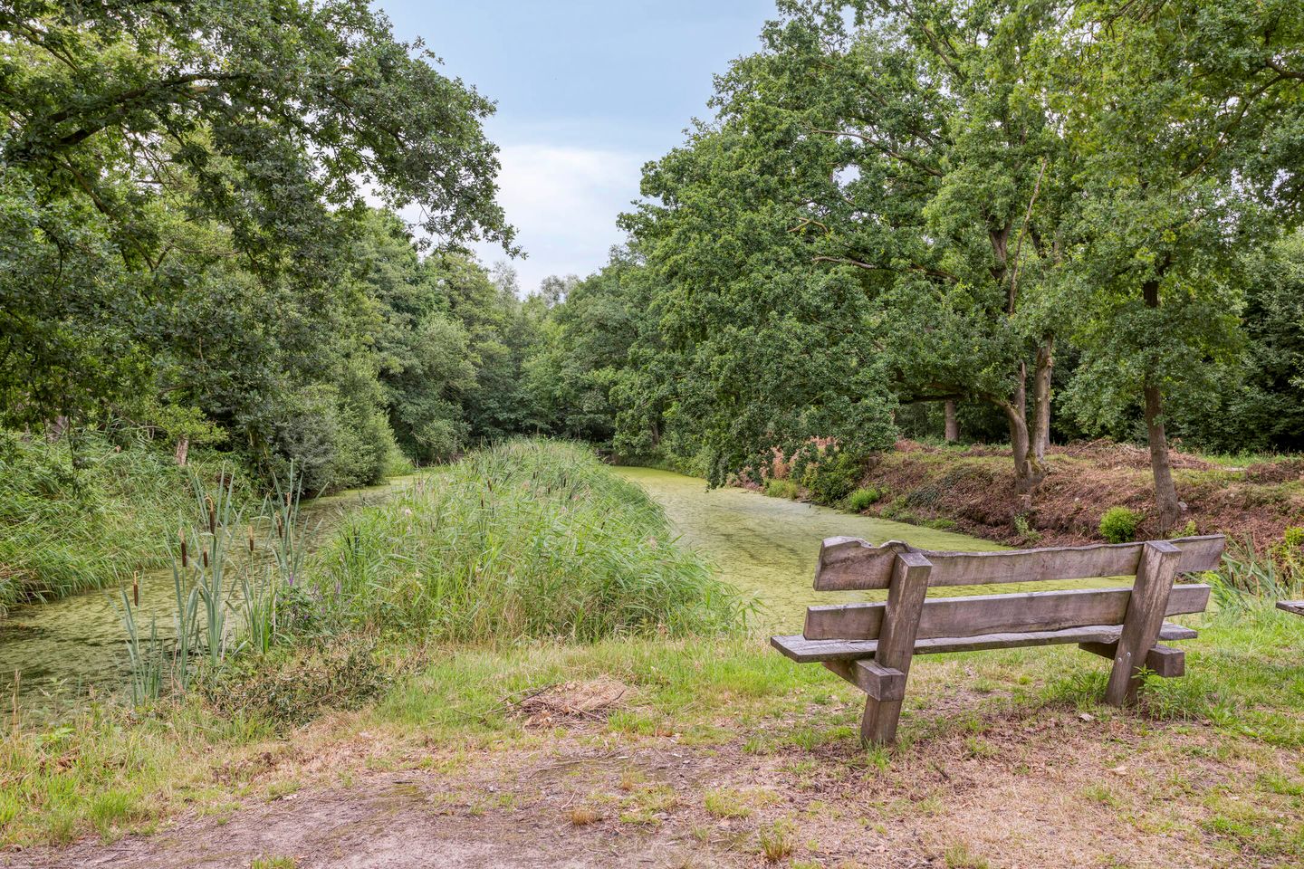 Foto 40 van Rozenbottel 20