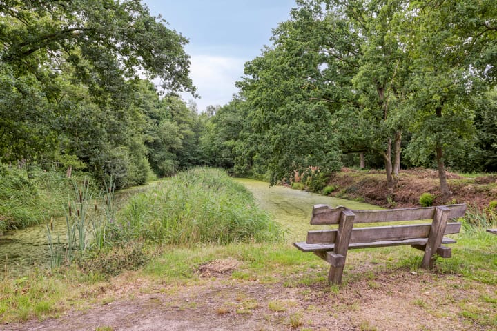 Foto 40 van Rozenbottel 20