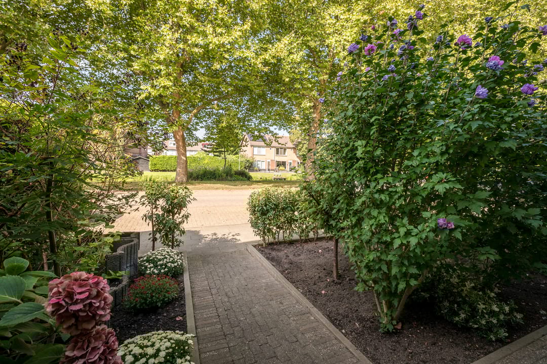 Foto 7 van Molensingel 32