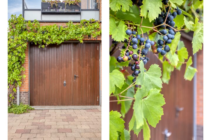 Foto 48 van Bachlaan 20