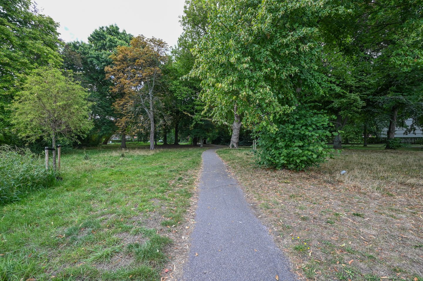 Photo 44 of Nassaukade 85