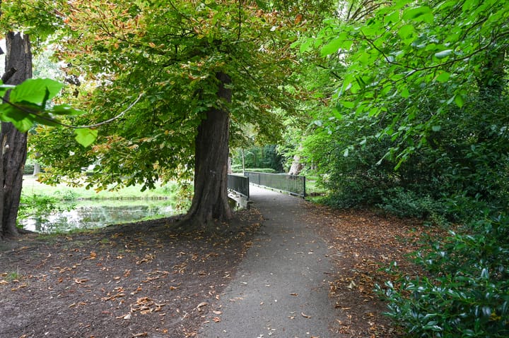 Foto 45 van Nassaukade 85