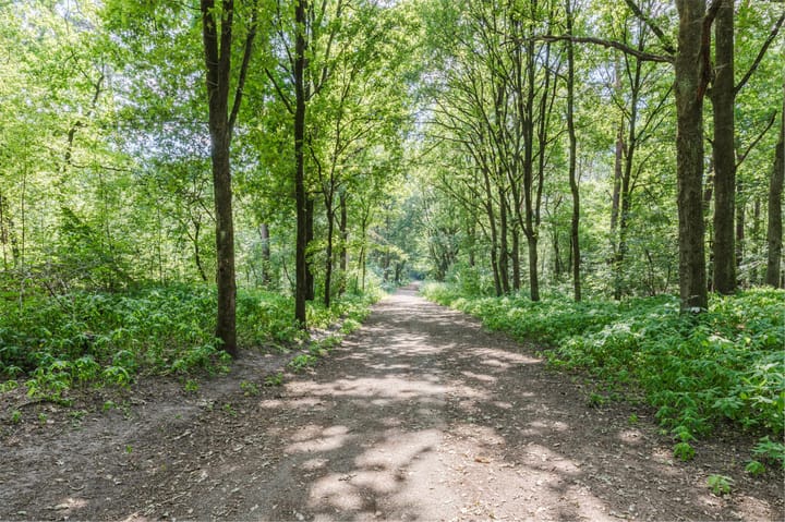 Photo 55 of Langenakker 39