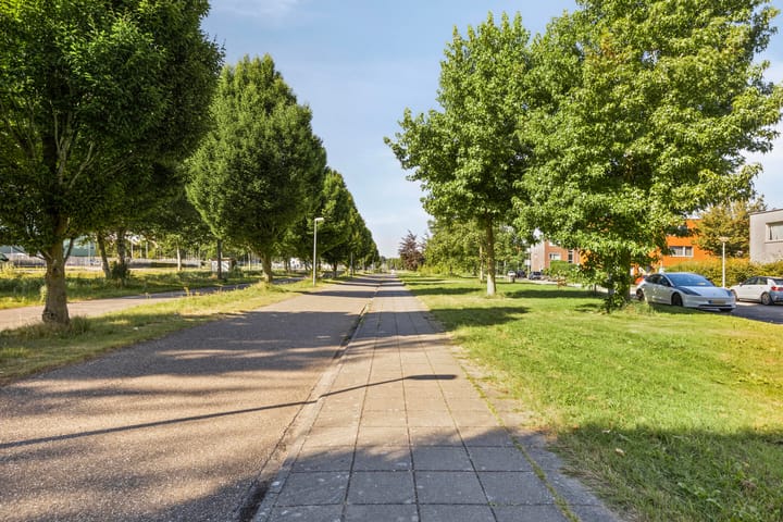 Photo 37 of Michelangelostraat 191