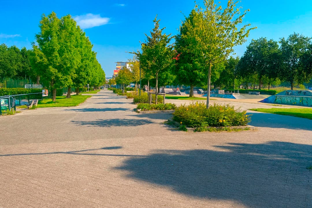 Foto 31 van Zuiderkeerkring 223