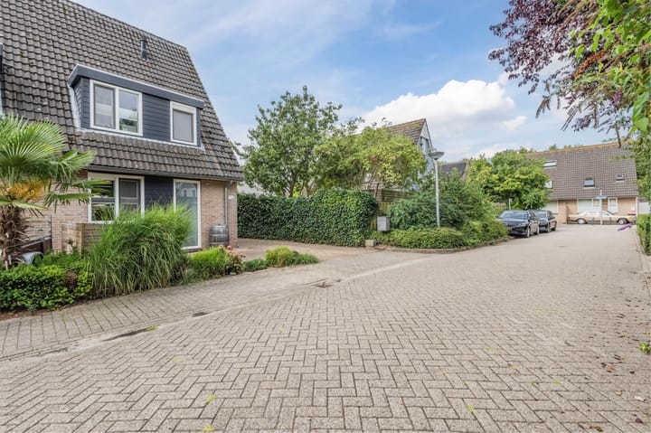 Foto 4 van Schoener 43 45