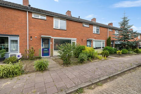 undefined main image