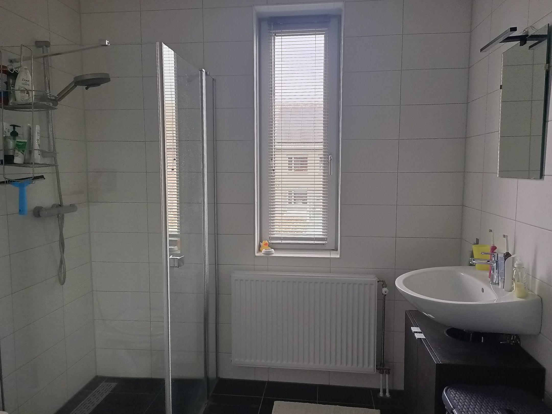 Foto 6 van Spiegelkever 33