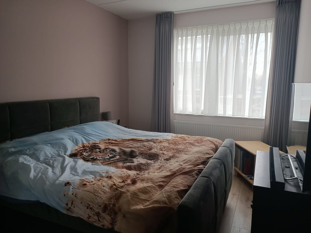 Foto 7 van Spiegelkever 33