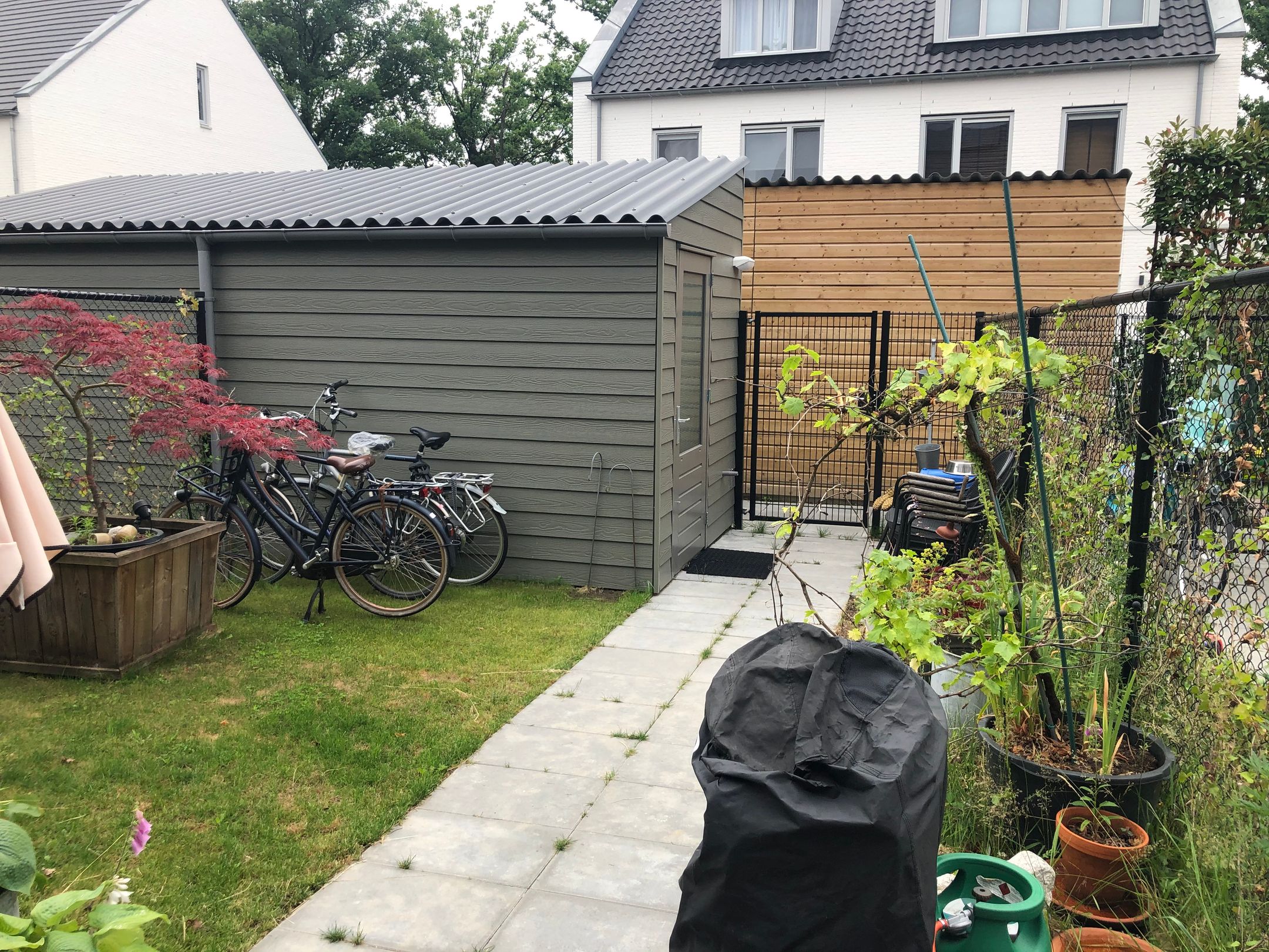 Foto 9 van Spiegelkever 33