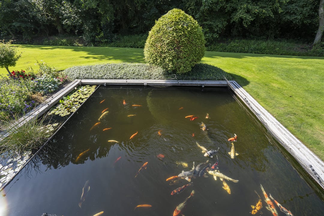 Foto 46 van Zuiderlingedijk 245-A