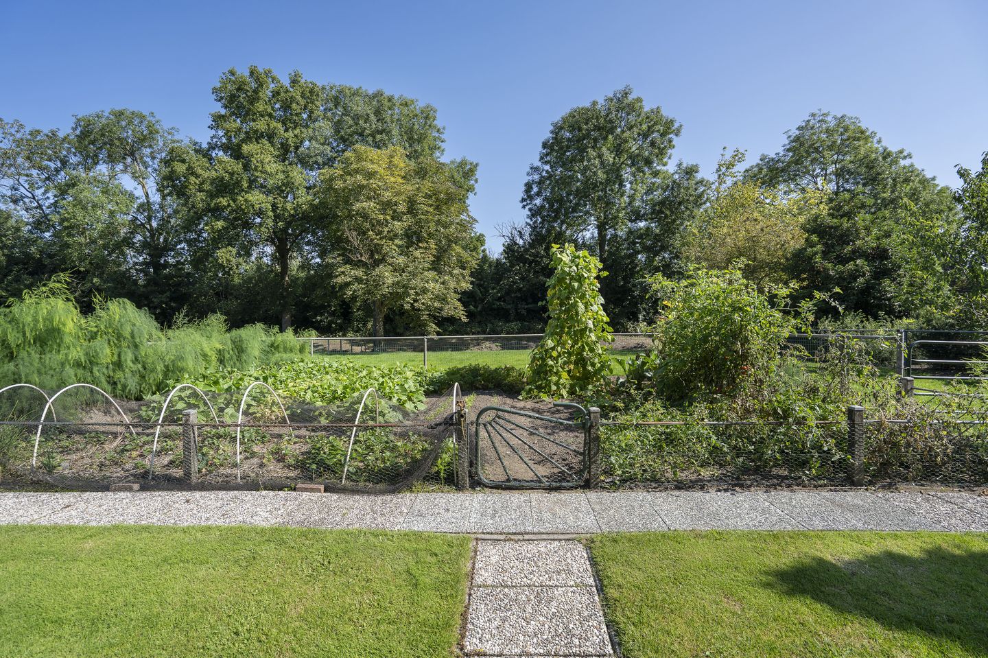 Foto 55 van Zuiderlingedijk 245-A