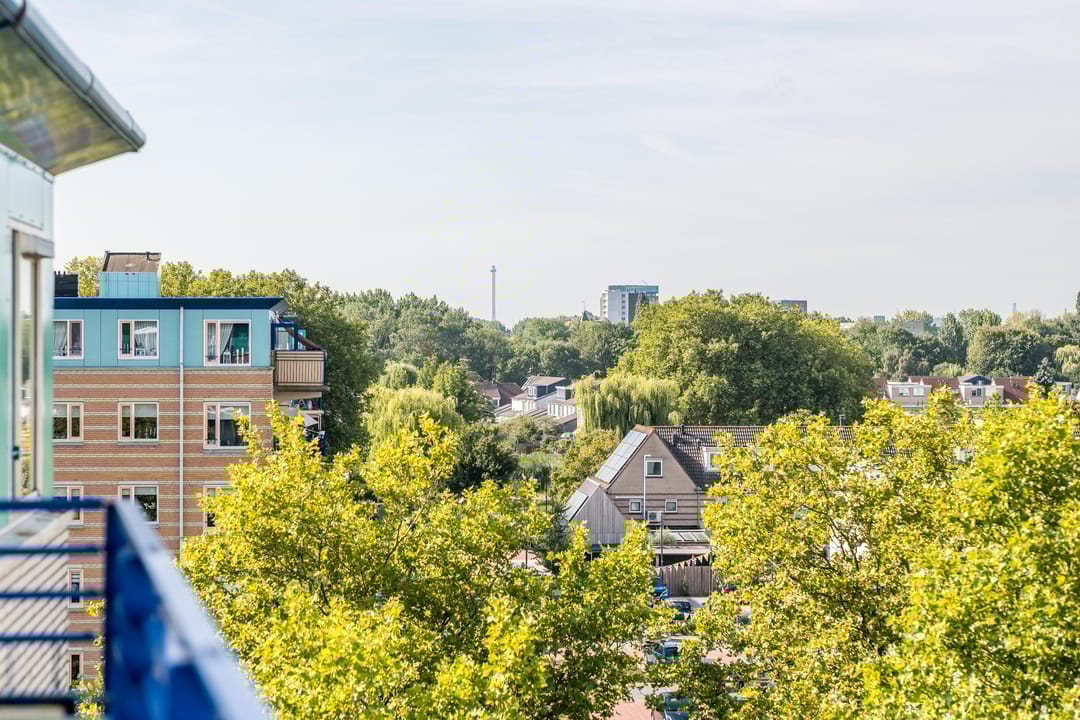 Photo 23 of Lavendelveld 46