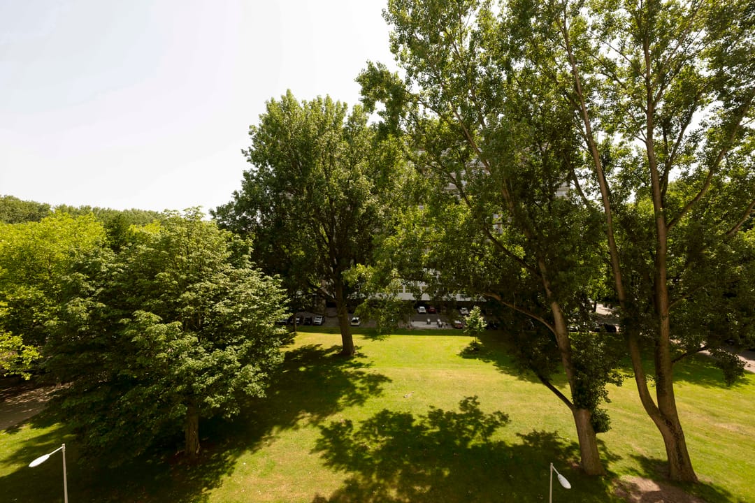 Foto 11 van Weerdestein 49