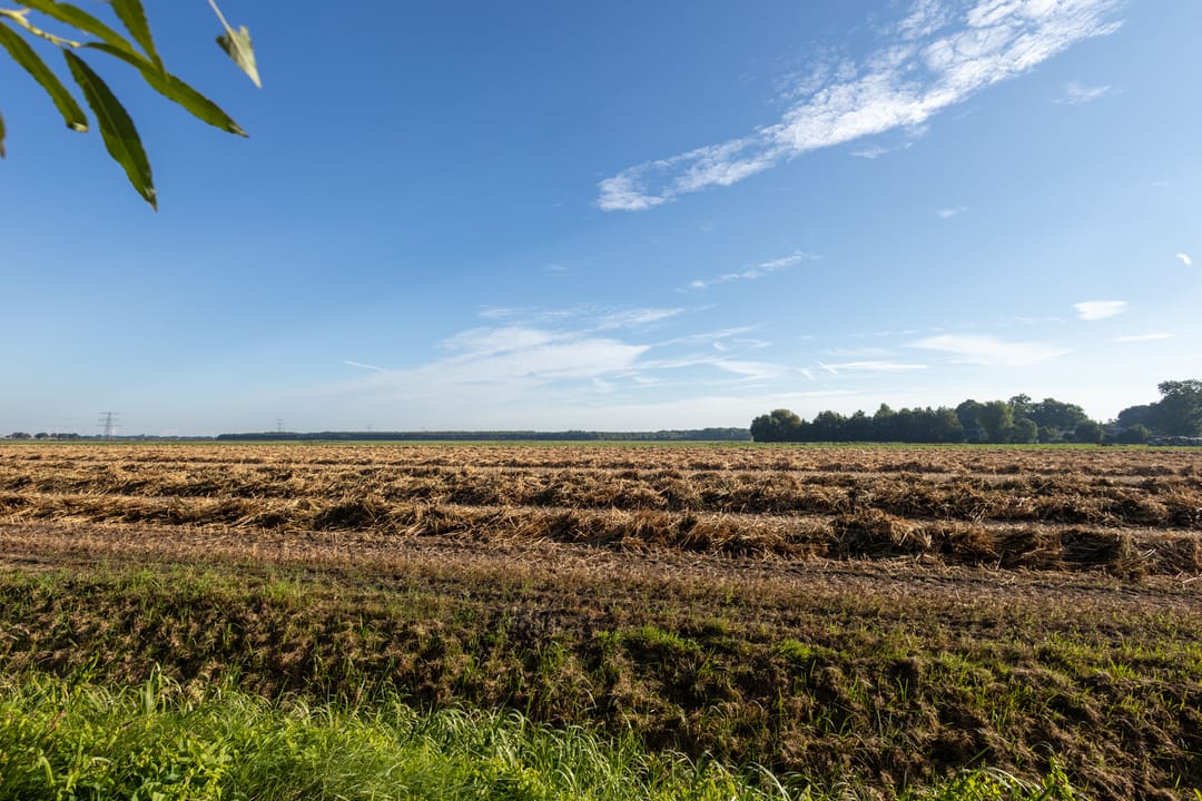 Photo 31 of Harm Heijeslaan 41