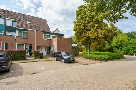 undefined main image