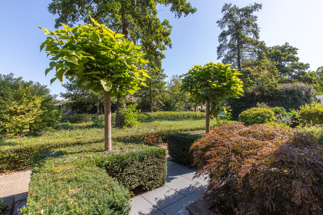 Foto 13 van Heesackers 3