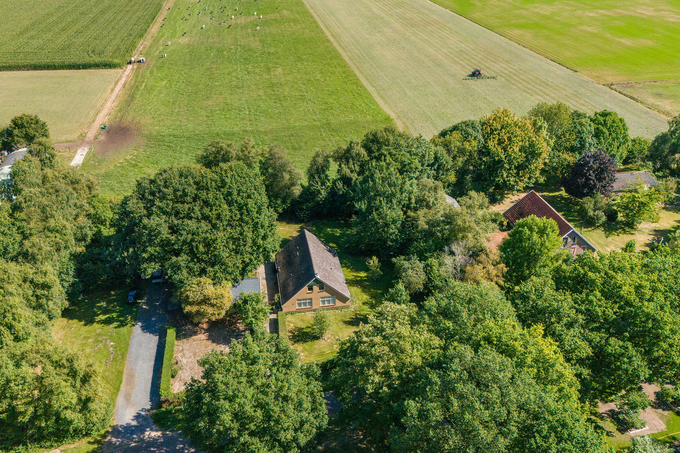 Nieuwe Dijk, 14, Zuidwolde (DR), 7921XC, Drenthe, Nederland 14 