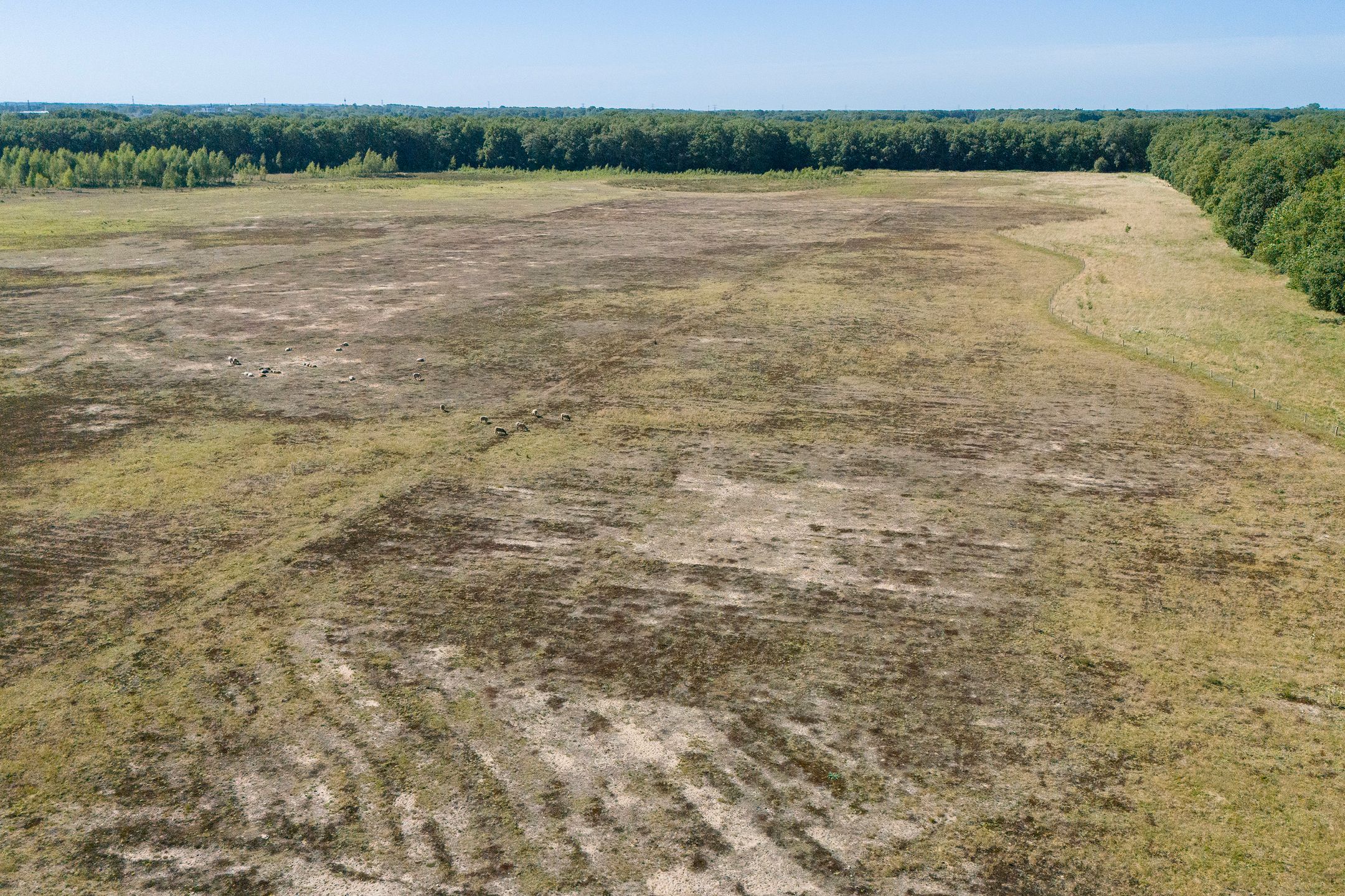 Foto 33 van Nieuwe Dijk 14