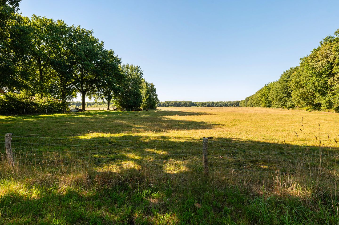 Foto 49 van Nieuwe Dijk 14