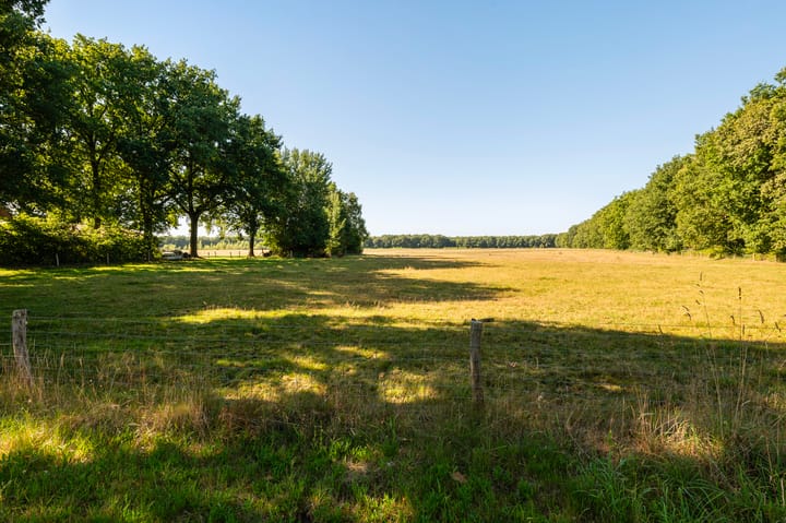 Foto 49 van Nieuwe Dijk 14