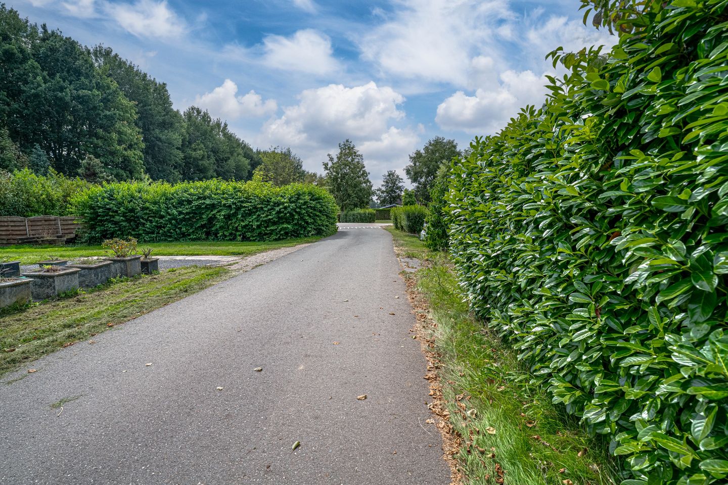 Photo 4 of Melkweg 2-36