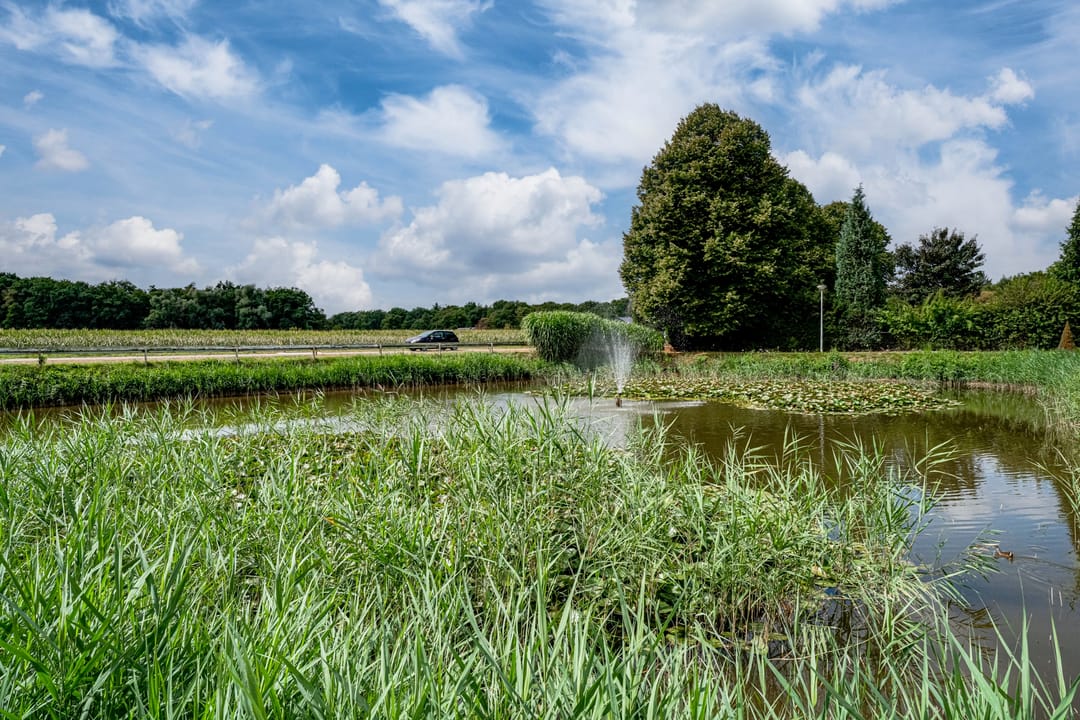 Photo 31 of Melkweg 2-36