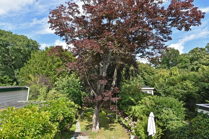 Photo 39 of Nieboerweg 208