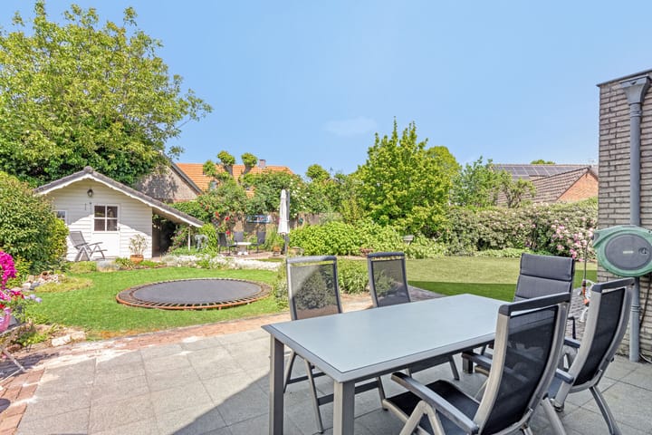 Foto 5 van Lavendel 3