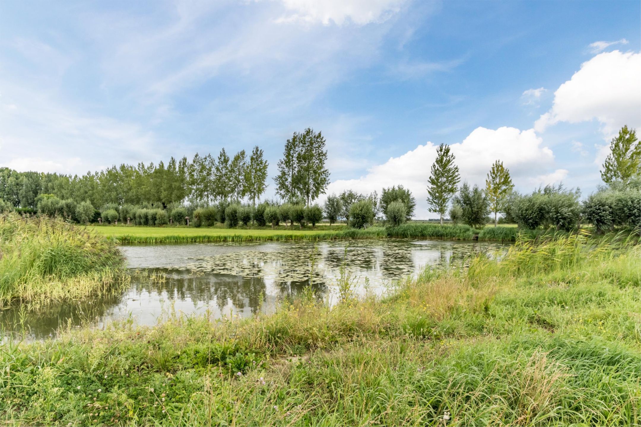 Foto 12 van Schenkelkamp 25