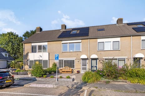 undefined main image