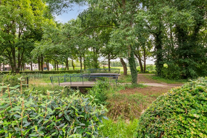 Foto 41 van Rozenkamp 6