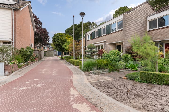 Foto 42 van Rozenkamp 6