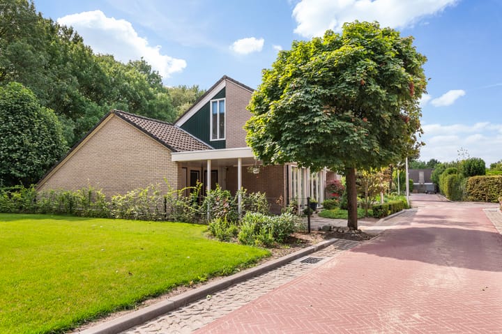 Foto 43 van Rozenkamp 6