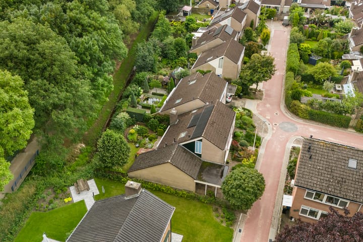 Foto 44 van Rozenkamp 6