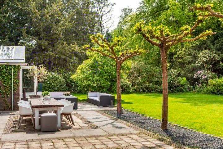 Photo 39 of Amersfoortsestraatweg 91