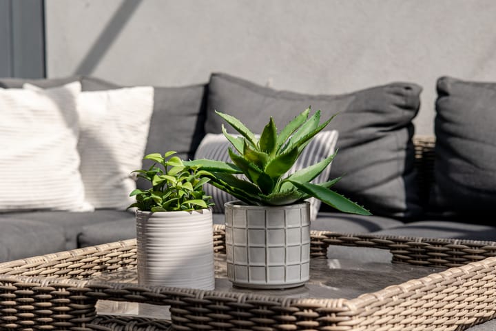 Foto 34 van Hoogstraat 38