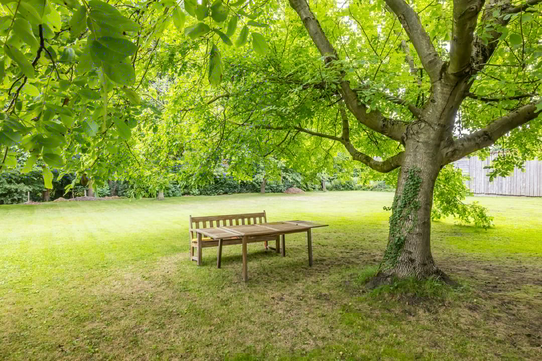 Foto 38 van Dorpstraat 35