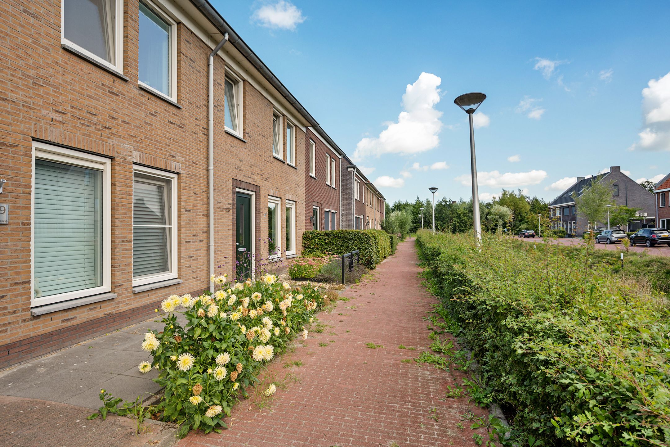 Photo 6 of Hoyteslân 41