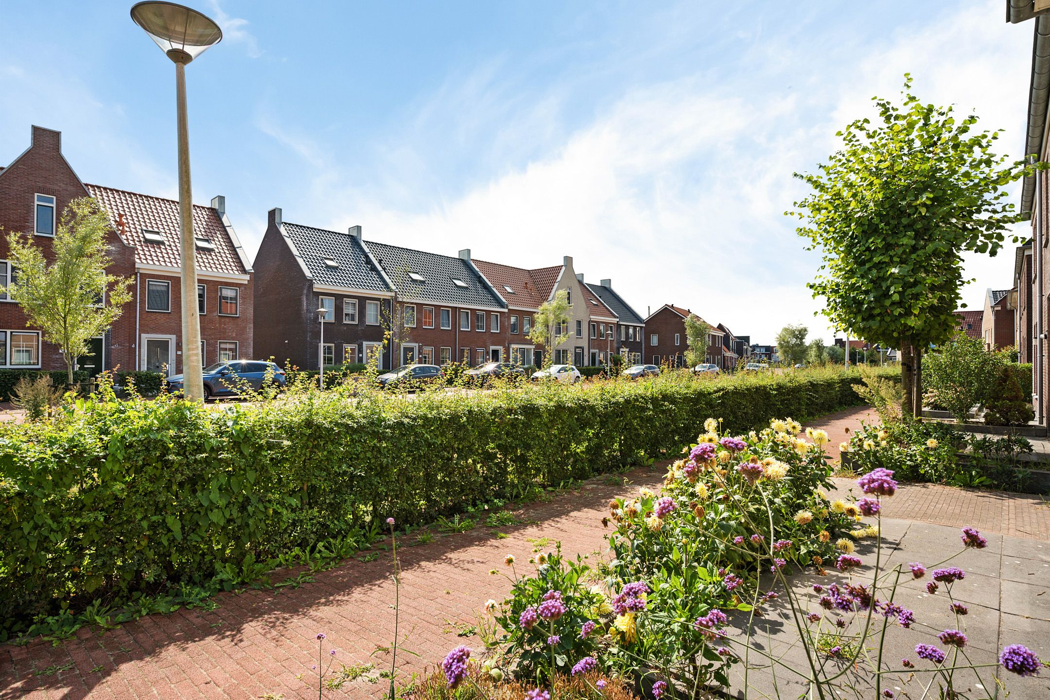 Photo 30 of Hoyteslân 41