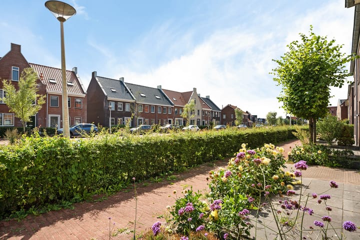 Photo 30 of Hoyteslân 41