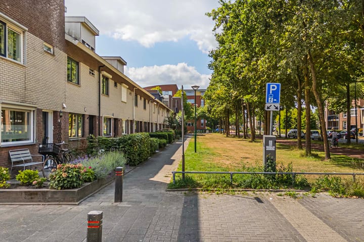 Foto 4 van Honingzwam 49