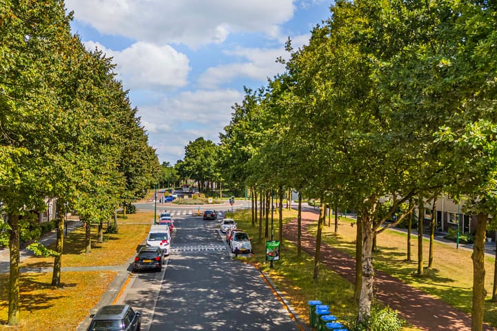 Foto 34 van Honingzwam 49